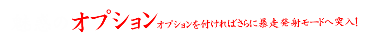 魅惑のオプション